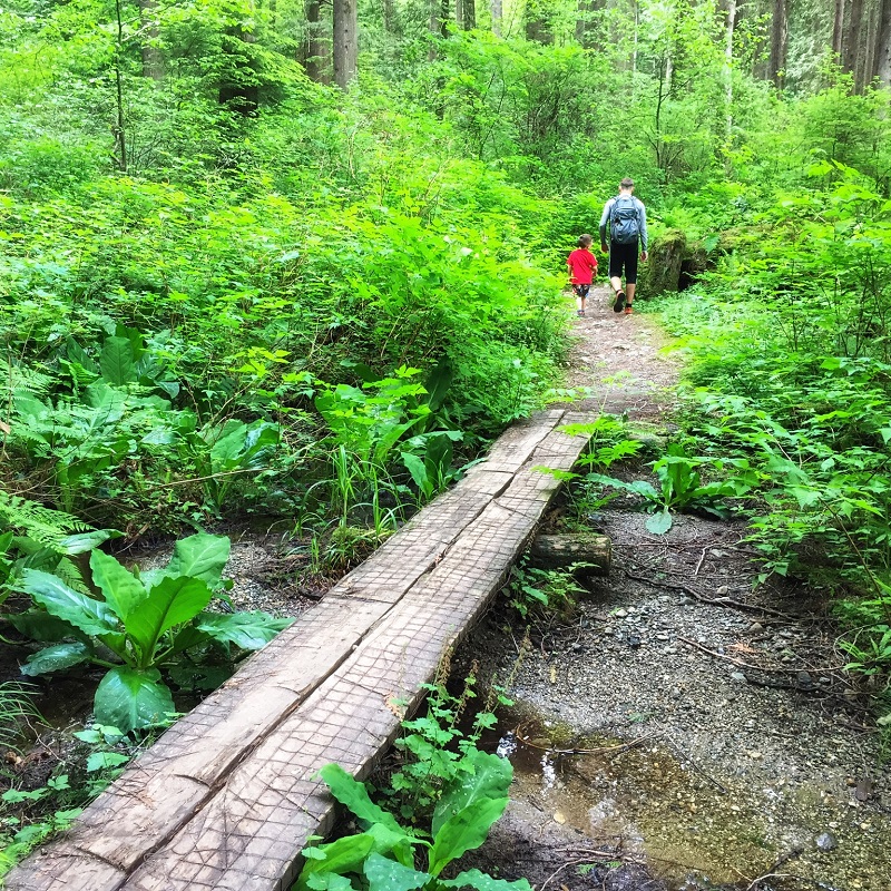 PerfectDayToPlay Devils Lake Mission British Columbia - bridge over a forest stream