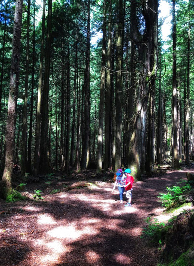 kids in the forest British Columbia Canada