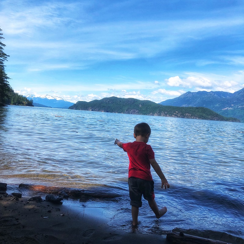 PerfectDayToPlay Sandy Cove Beach Trail at Harrison Hot Springs - Cosmos playing on the beach with stunning view of the mountains