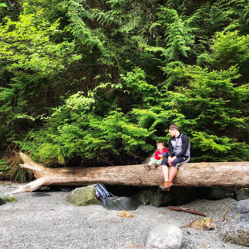 father and child sitting on a large fallen tree