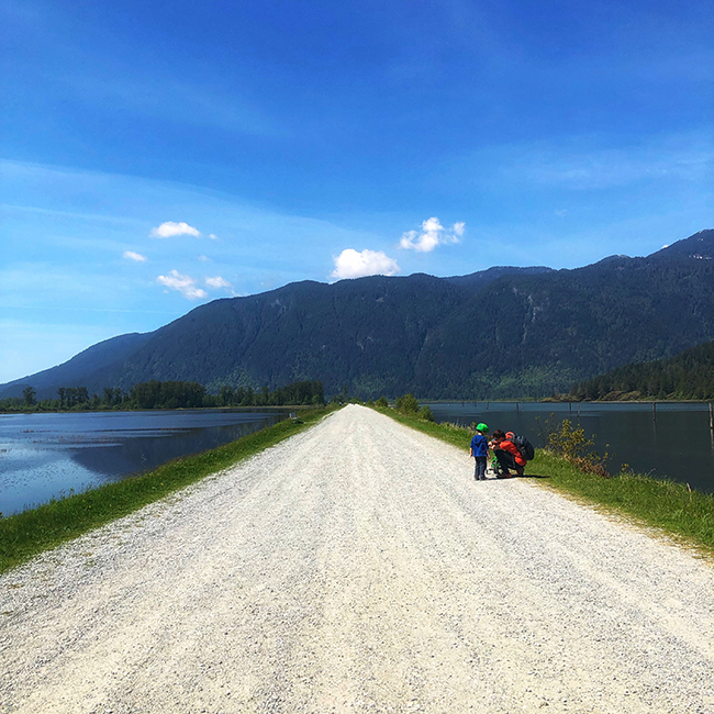 father and son fixing a bike at an empty road- Rannie Road in Pitt Lake Ecological Reserve, near Pitt Meadows, BC at Grant Narrows Regional Park