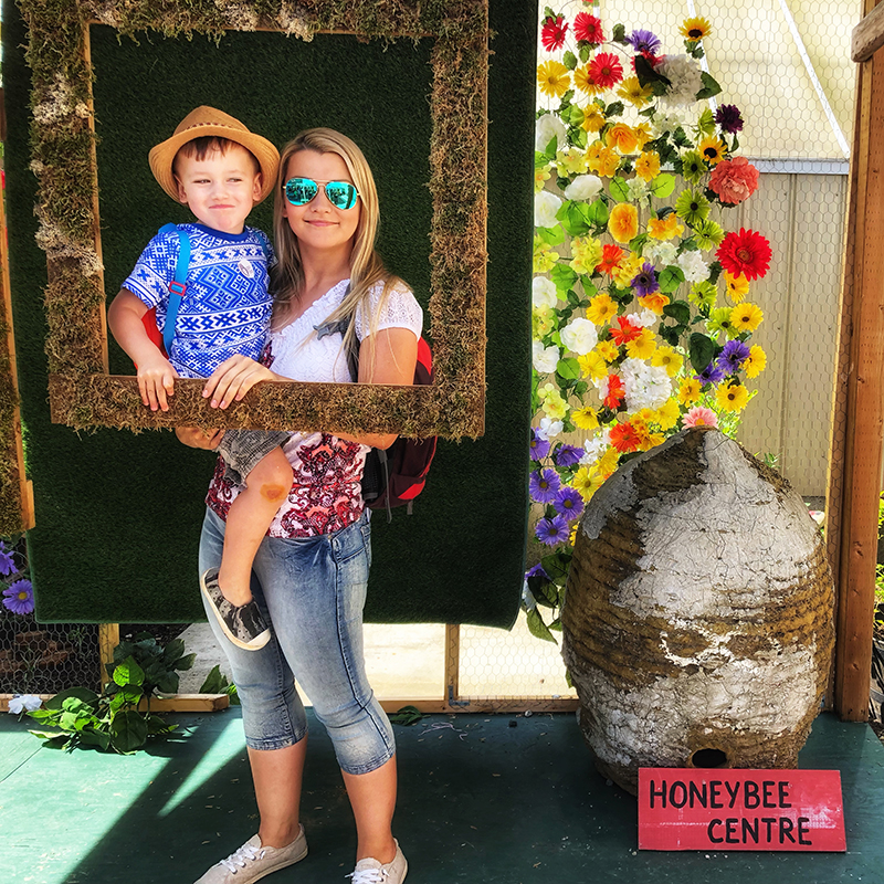 PerfectDayToPlay - Day of The Honeybee event
