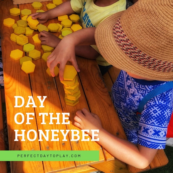 Honeybee Centre - Cool & Smart Things To Do With Kids in Surrey BC