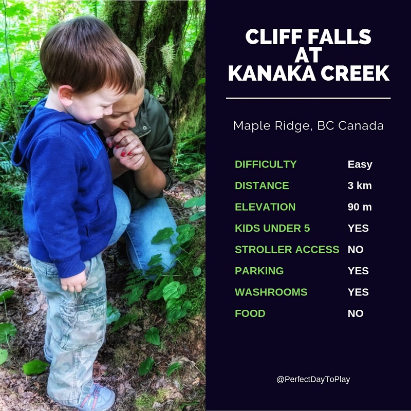 PerfectDayToPlay Cliff Falls trail at Kanaka Creek Park in Maple Ridge. quick facts