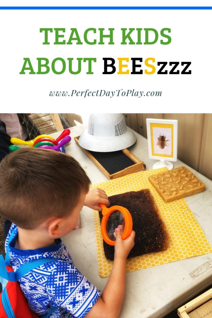 PerfectDayToPlay - Things to do with kids in Surrey Pinterest pin Teach Kids about Bees and indoor activities for kids