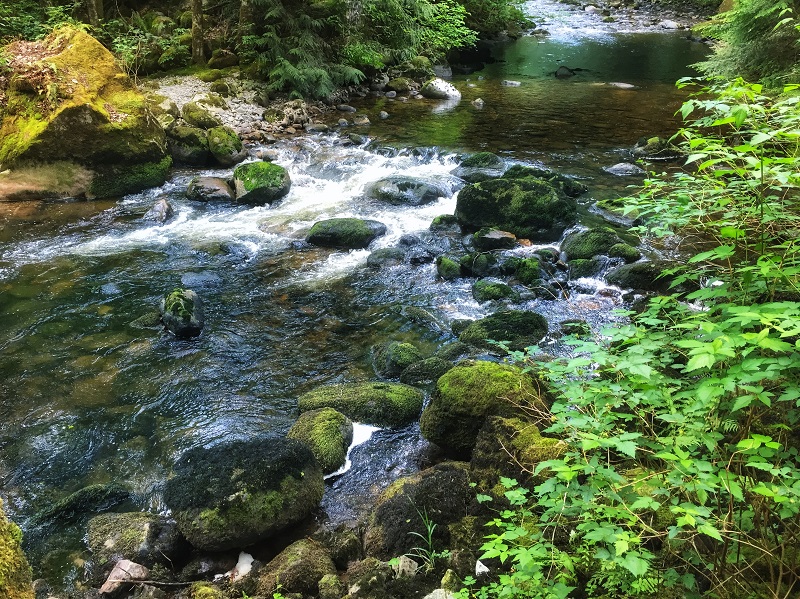 creek water rushing through rocks