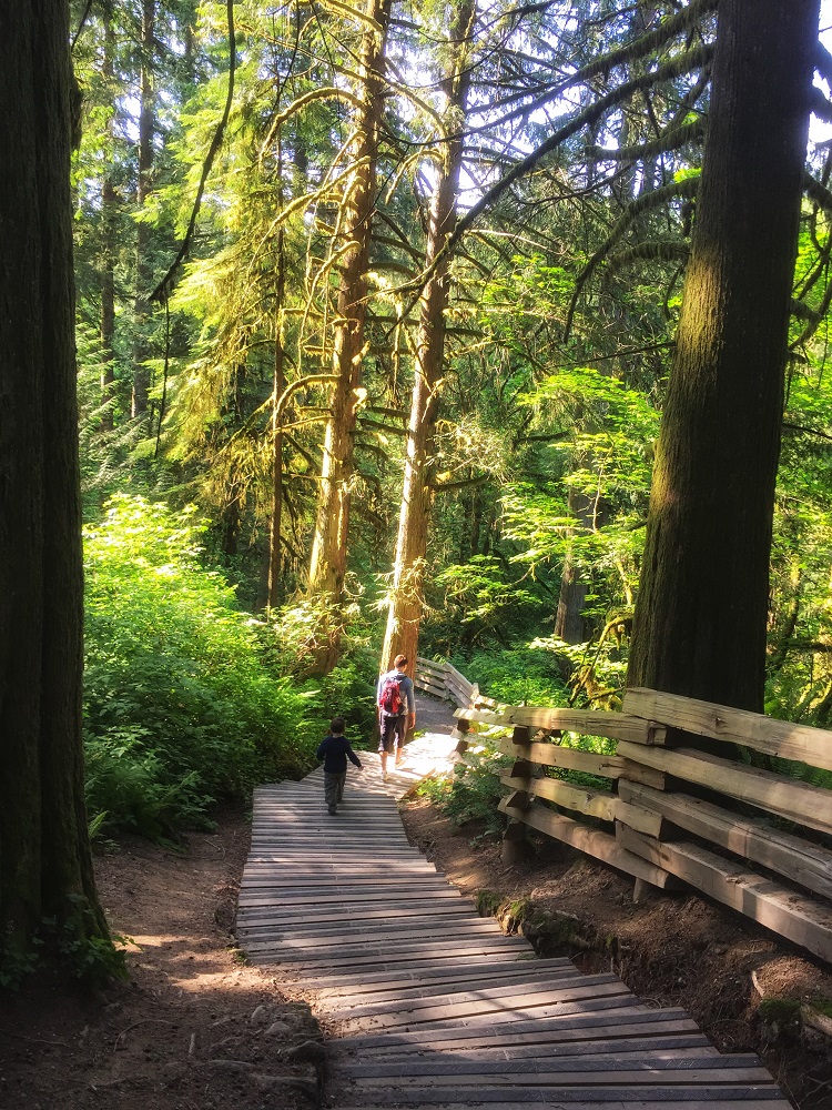 Father and child hiking down the stairs on a trail through a forest