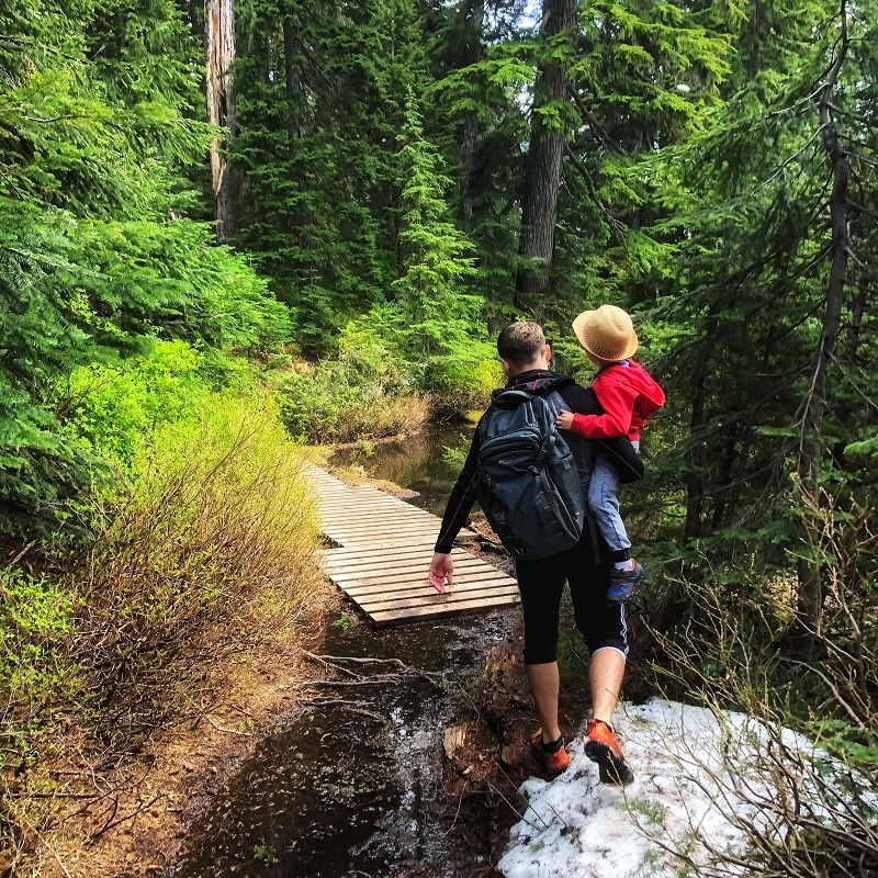 Mystery Lake - Mt. Seymour Stunning Kids-Friendly Hike, North Vancouver