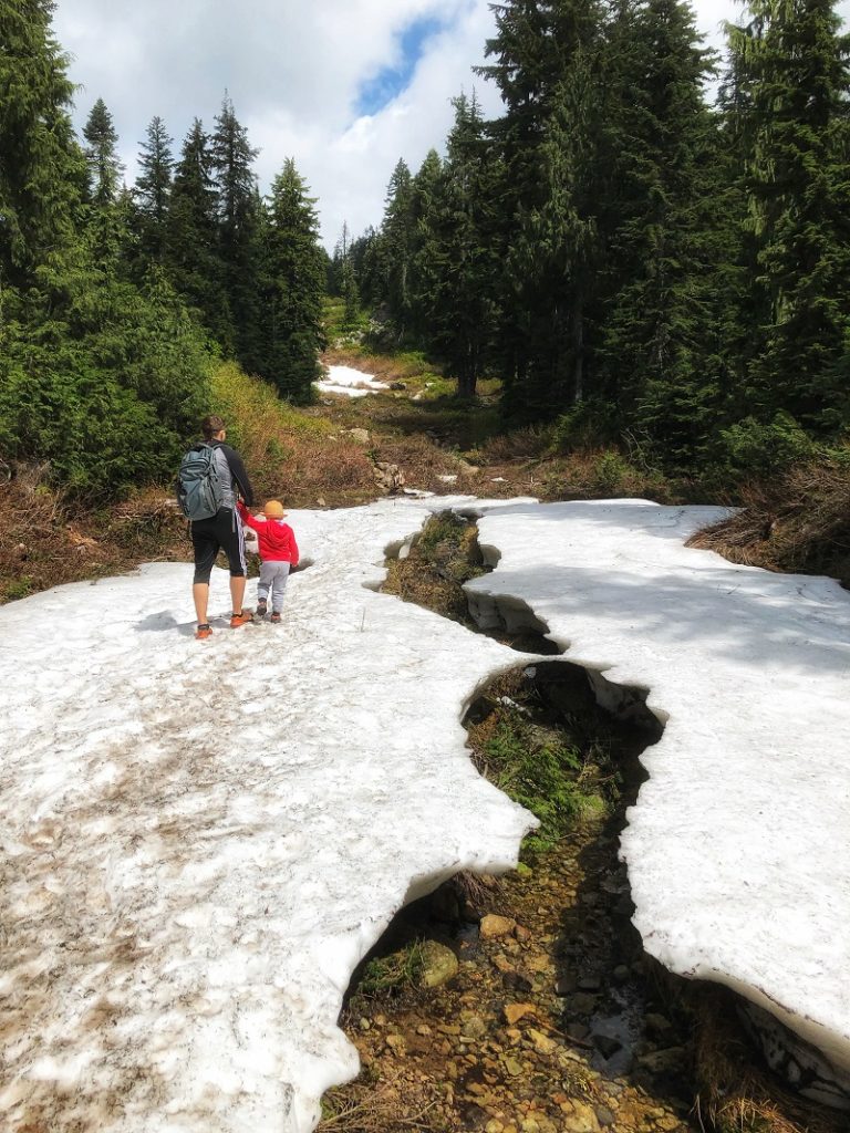 PerfectDayToPlay - Mt. Seymour hiking trail covered in snow