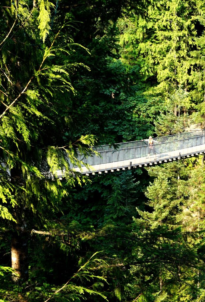 Top Instagrammable Bridges - Suspension Bridge near Vancouver - Capilano Suspension Bridge