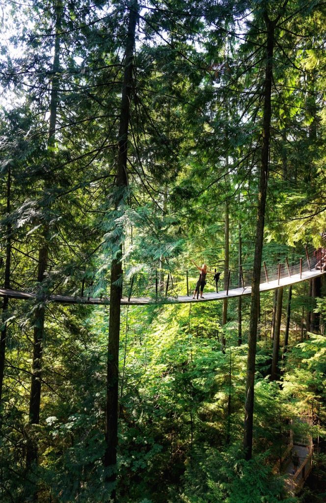 Suspension Bridge near Vancouver - Capilano TreeTops Adventure