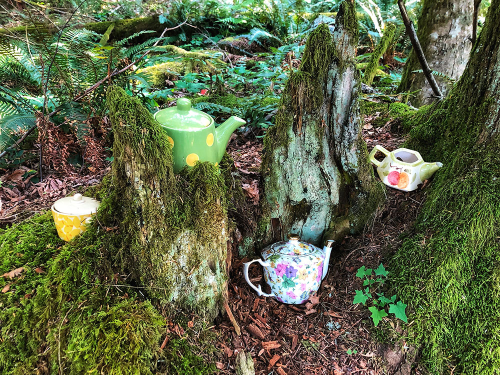 teapot hill hiking trail near Chilliwack - awesome place to visit with kids in British Columbia