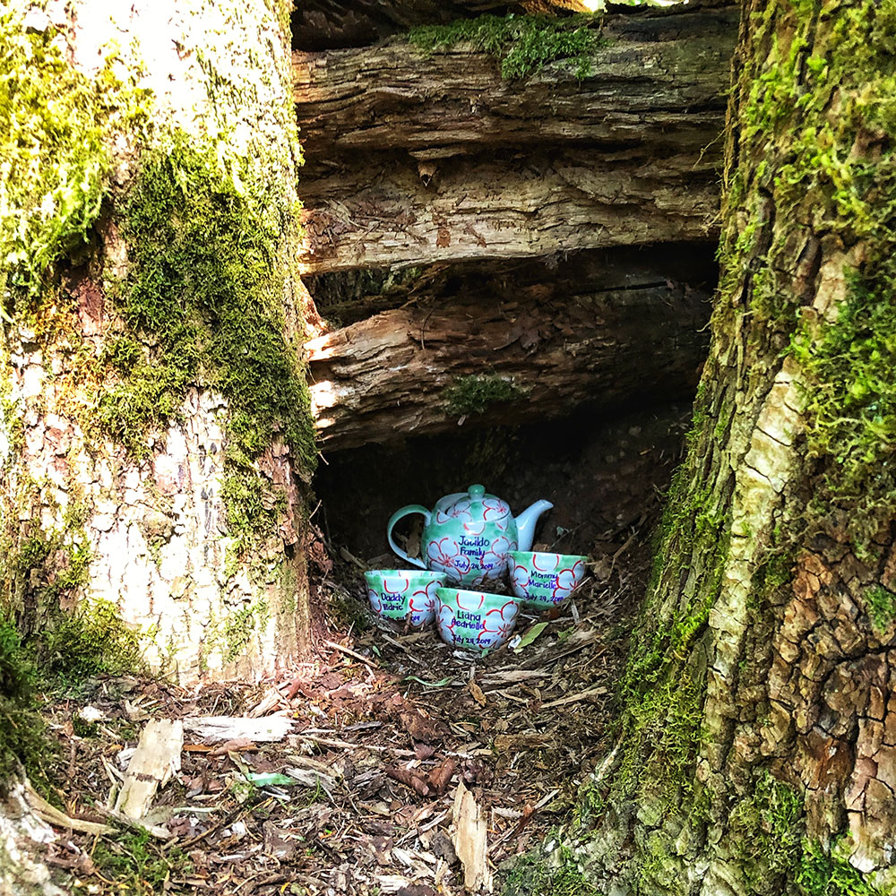 PerfectDayToPlay - Teapot family hidden inside a tree on the easy hike near me