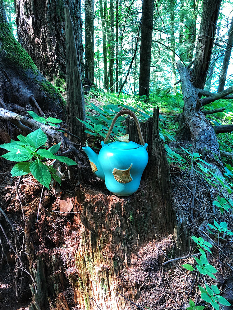 teapot hill hiking trail near Chilliwack - blue pot