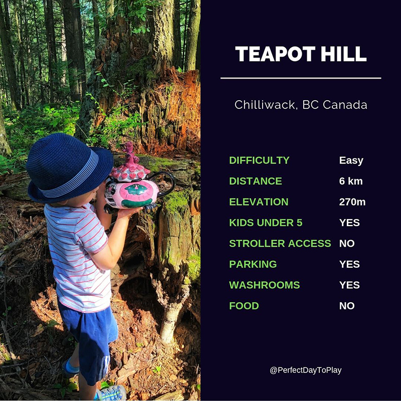 PerfectDayToPlay - Teapot Hill kids-friendly hike near Chilliwack quick facts