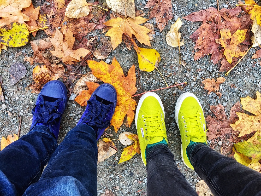 Colourful sneakers on fall golden maple leaves