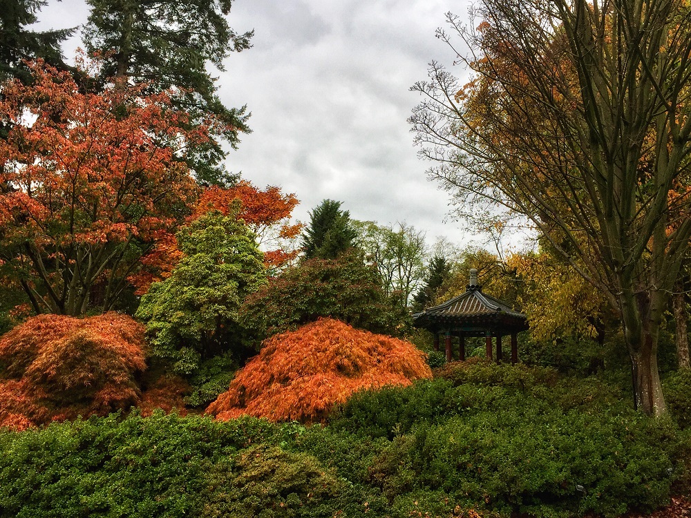 Fall in Vancouver - VanDussen Botanical Garden