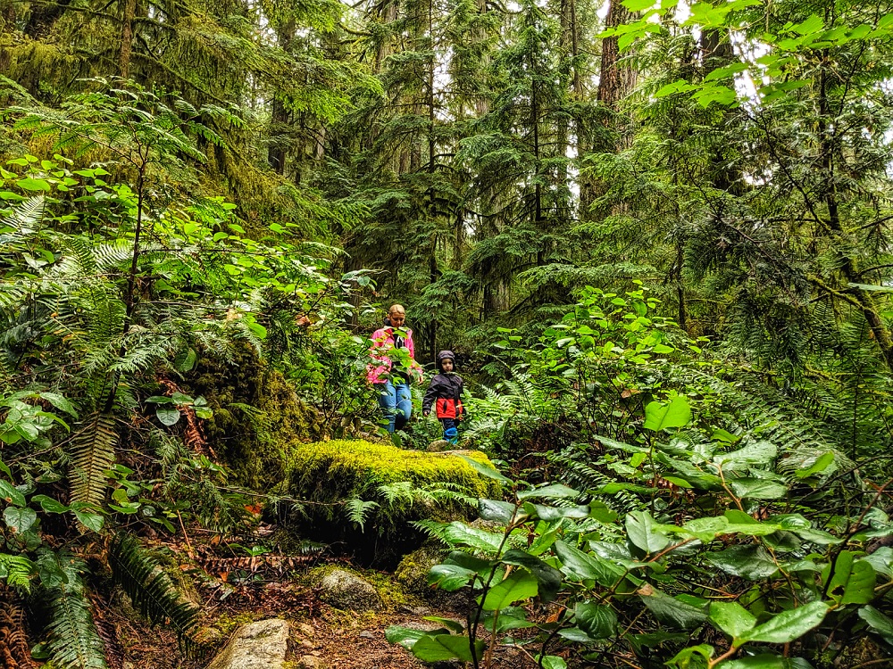 things to do with kids on a rainy day - enchanted forest hiking
