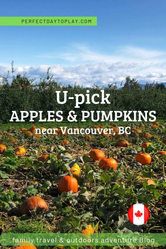 Applebarn Pumpkin Farm by Taves Family - Pinterest Pin