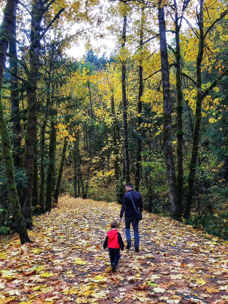 Hiking trail - golden fall in BC - father and son