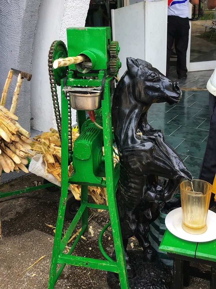 Sugar cane press for guarapo drink