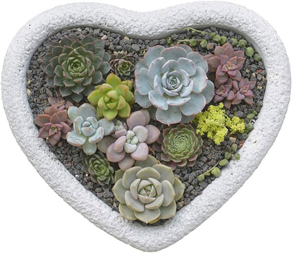St Valentines gift idea product Amazon - flower pot heart-shaped
