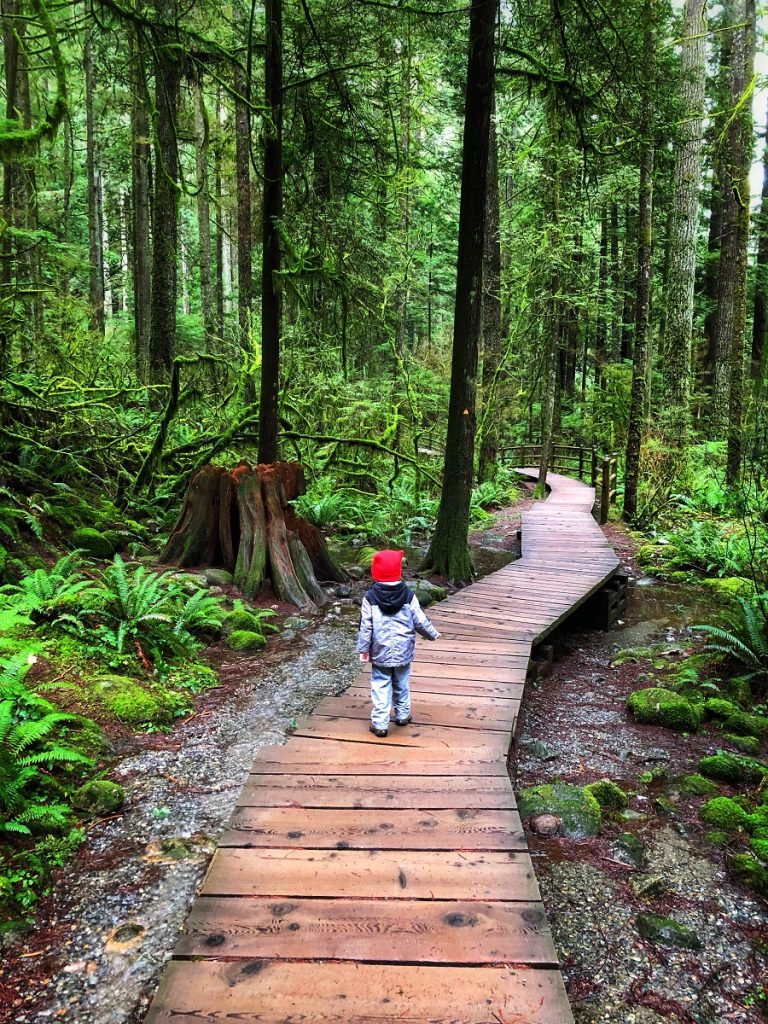 Lynn Canyon @ North Vancouver - beautiful hiking trail