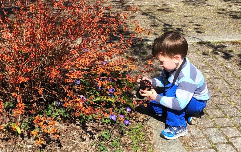 child taking a photo instead of bringing a flower home. Outdoor ethics and Leave no Trace principles 