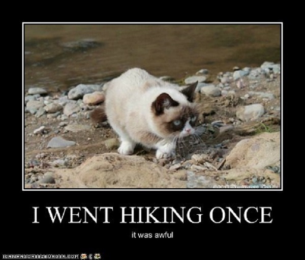 Absolutely Hilarious Camping & Hiking Meme List.