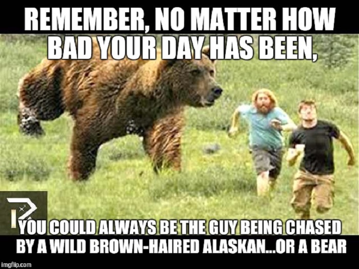 wildlife Meme, wildlife joke, funny wildlife quote