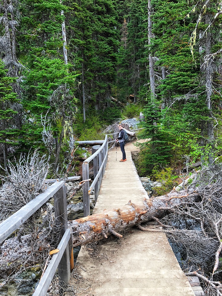Joffre Lakes trail from Middle Lake to Upper Lake - fallen tree across the bridge