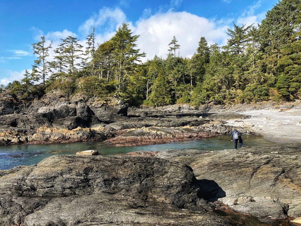 Botany Bay of Botanical Beach provincial park - Vancouver Island road trip itinerary