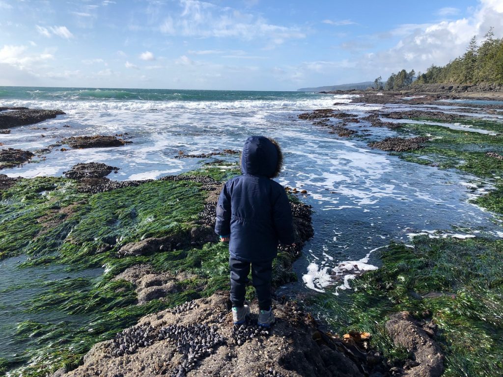 Things to do in Sooke BC - Botanical Beach Provincial Park - child looking at seaweed and ocean waters