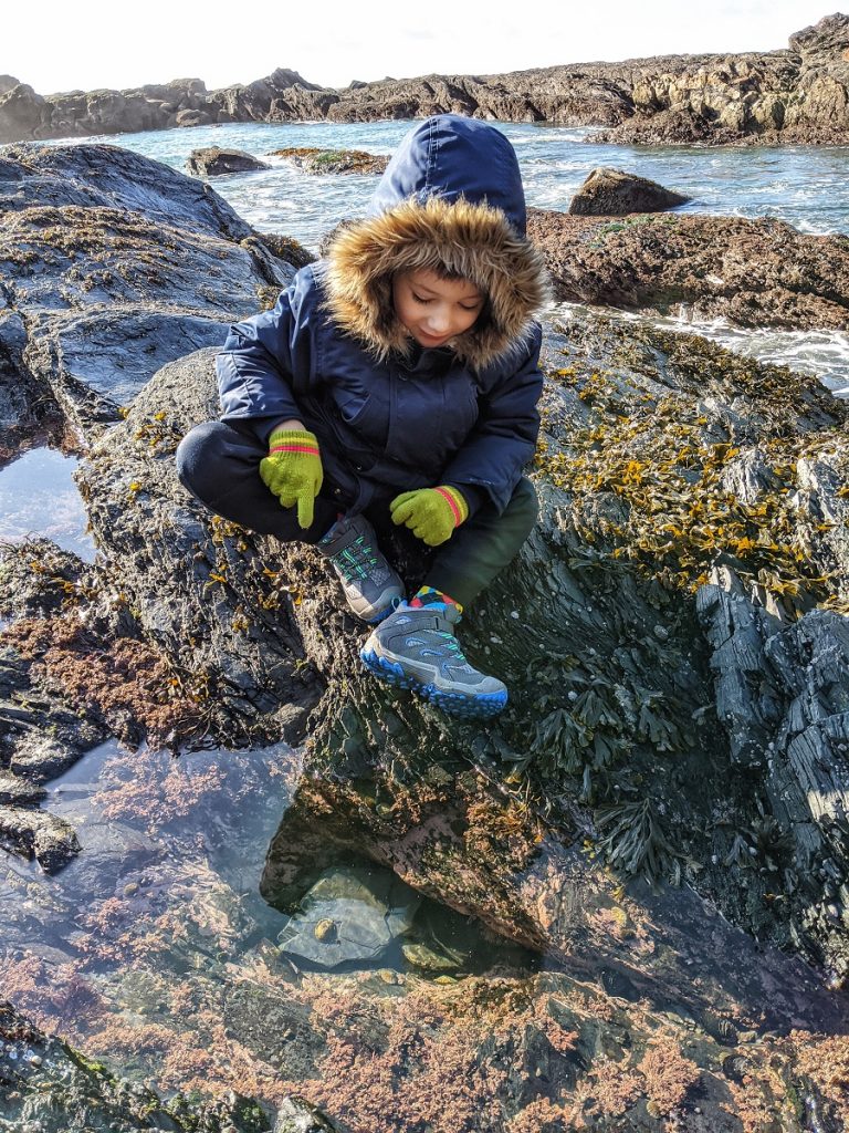 a child looking at the fish swimming in clear water - low tide pools at Botanical Beach