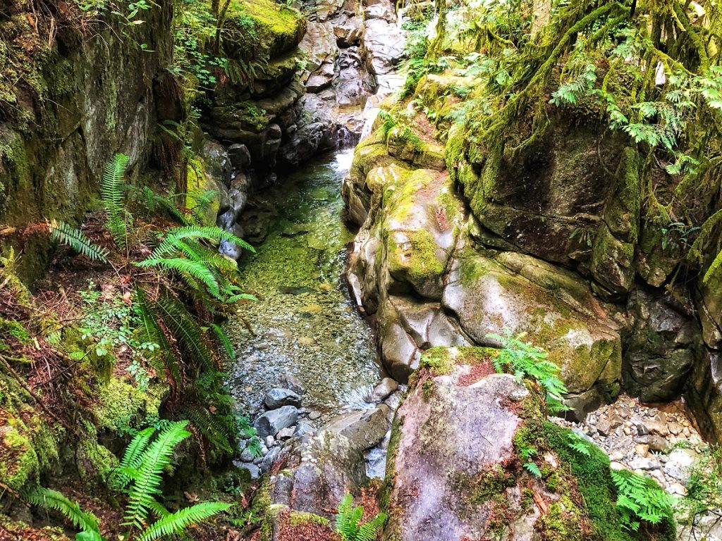Cypress Falls Park - Easy Hiking Trails in Vancouver, Crowd-free, Social Distancing Outdoors