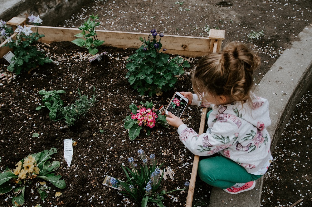 child takes a photo of a flower - teach kids gardening