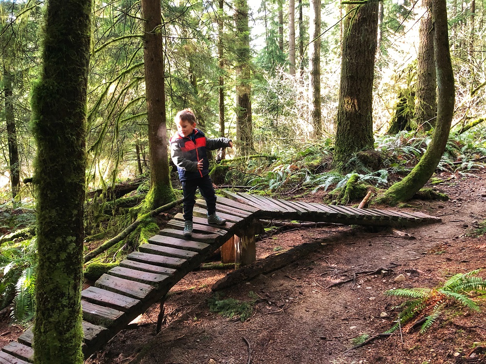 Bert Flinn Park - hiking in Coquitlam and Port Moody, British Columbia