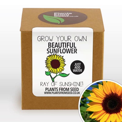 sunflower grow kit on Etsy - eco-friendly mother's day gift idea