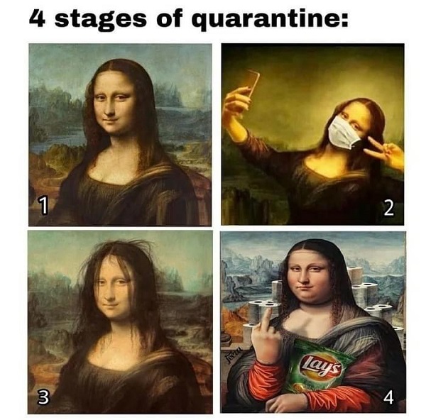 Mona Lisa funny covid19 meme