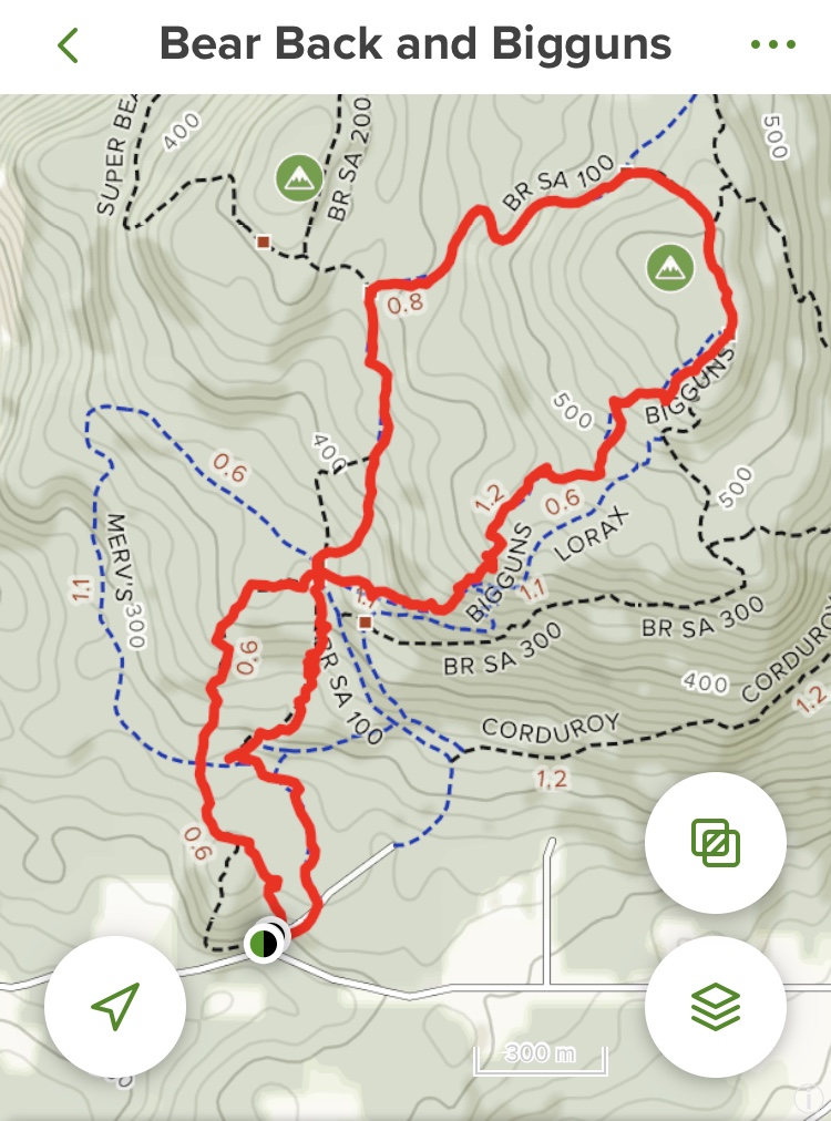 Bear Mountain trail map