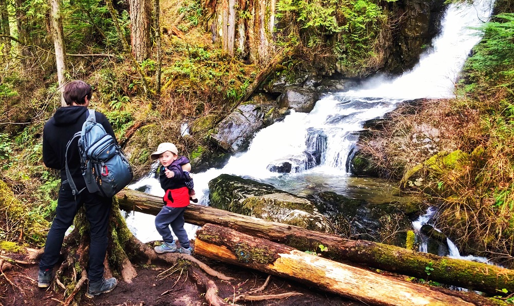 father and son looking at Steelhead Falls waterfall from hiking trail near Mission BC