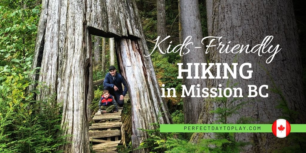 Top 6 Awesome Hikes In Mission BC To Take Your Kids On This Season