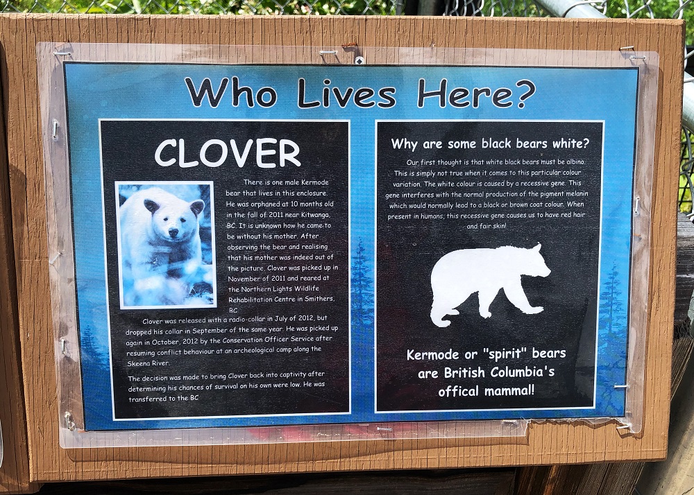 spirit bear sign at BC Wildlife Park in Kamloops, British Columbia