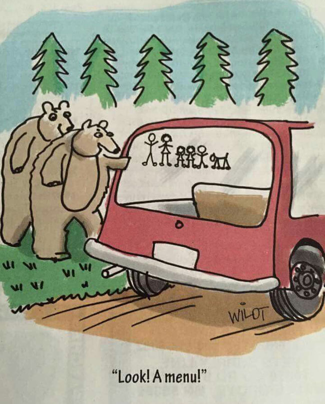 bears looking at a car sticker funny road trip cartoon