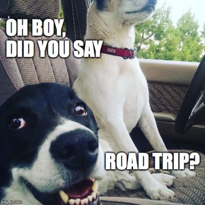 100+ Hilarious Road Trip Memes & Cartoons - Truth About Family Travel