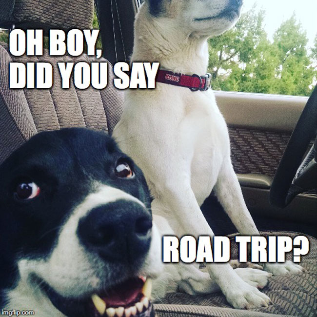 long road trip memes funny