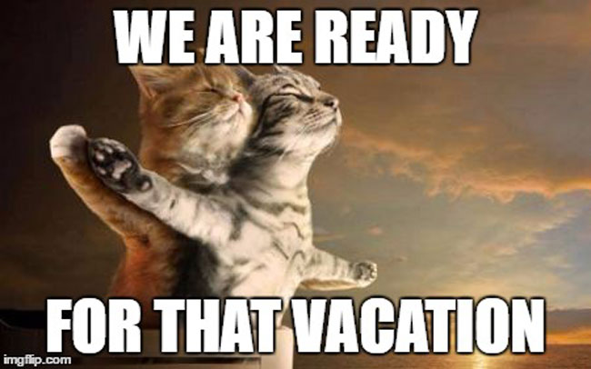 vacation expectation funny meme