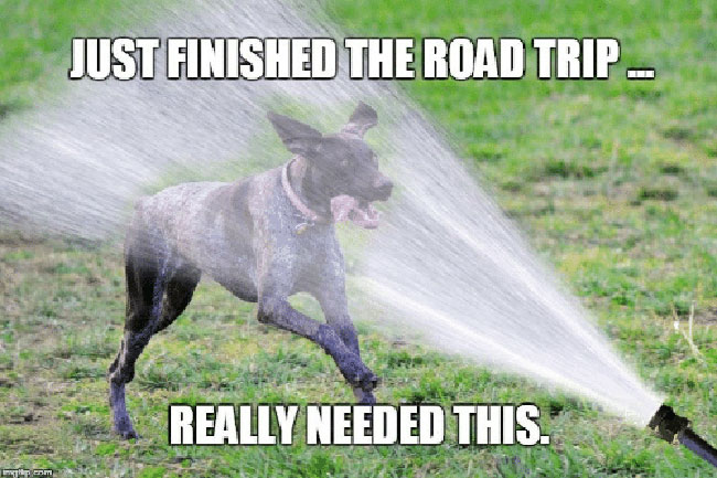 need a shower after a long road trip meme