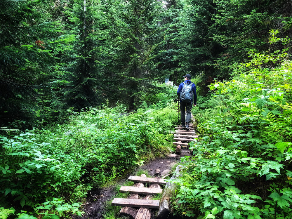 Mount Rohr via Marriott Basin hiking trail outdoor adventure