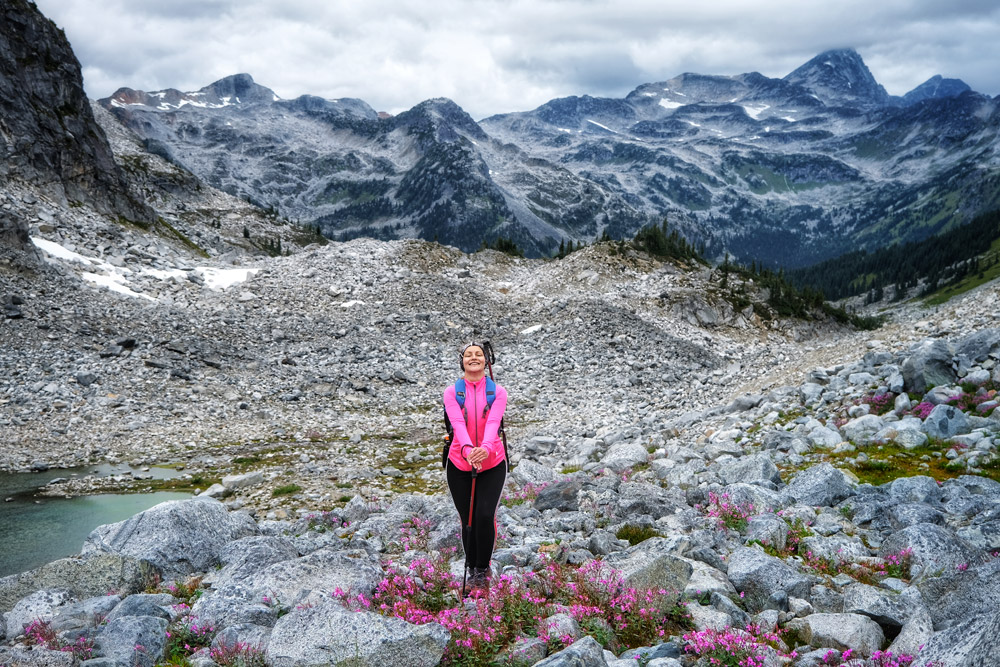 Mt Rohr hike - pink alpine vegetation along the boulder field scramble